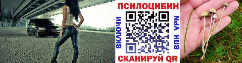 Галлюциногенные грибы прущие грибы  Кяхта 